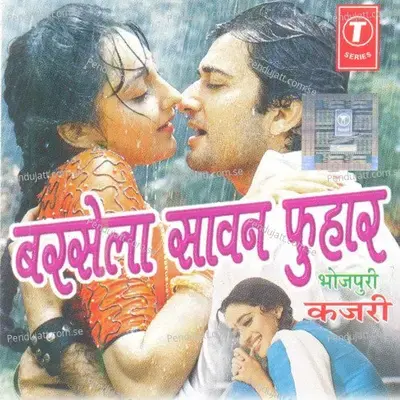 Barsela Sawan Phuhaar - Vijay Lal Yadav cover album