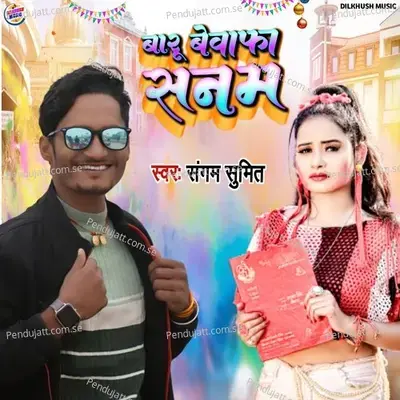 Baru Bewafa Sanam - Sangam sumit album cover 