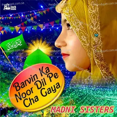 Barvin Ka Noor Dil Pe Cha Gaya - Madni Sisters album cover 