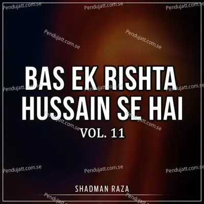 Mera Abbas Ghazi Abbas - Shadman Raza album cover 