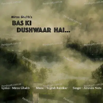 Bas Ki Dushwaar Hai - Amruta Natu album cover 