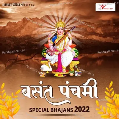 Veena Vadini Hans Vahini - Avinash Karn album cover 