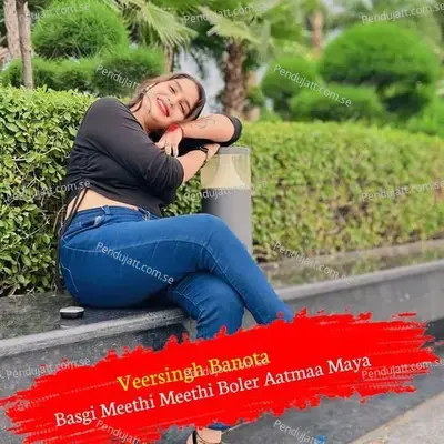 Basgi Meethi Meethi Boler Aatmaa Maya - Veersingh Banota album cover 