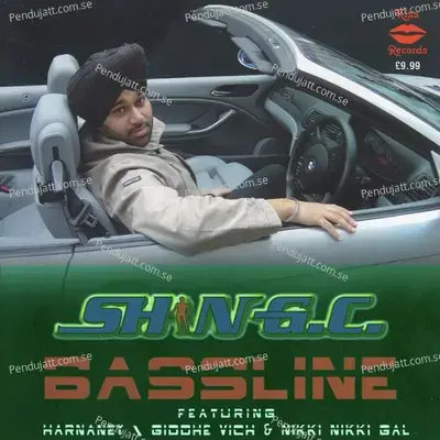 Nikki Nikki Gal - Shin Hayer album cover 