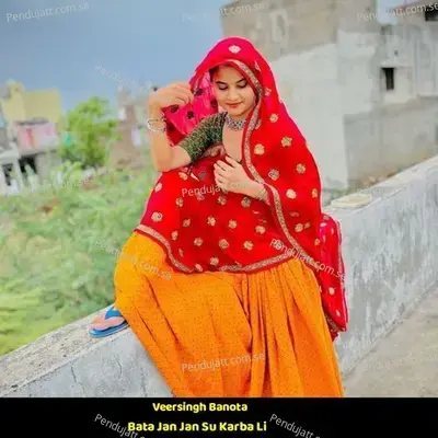 Bata Jan Jan Su Karba Li - Veersingh Banota album cover 