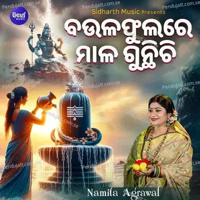 Baula Phulare Maala Gunthichi - Namita Agrawal album cover 