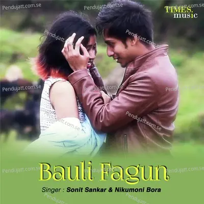 Bauli Fagun - Sonit Sankar album cover 