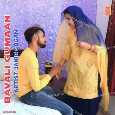 Bavali Gumaan - Jakir Sogan album cover 