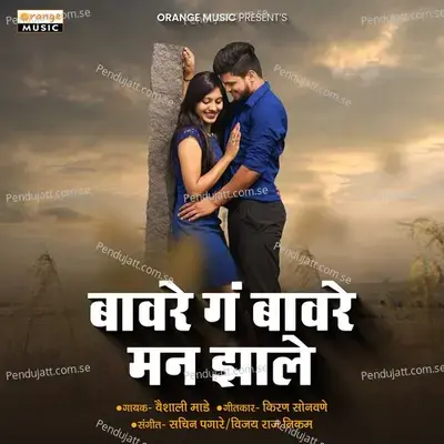 Bavare Ga Bavare Man Zale - Vaishali Made album cover 