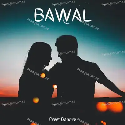 Bawal - Preet Bandre