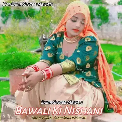 Bawali Ki Nishani - Sakir Singer Mewati album cover 