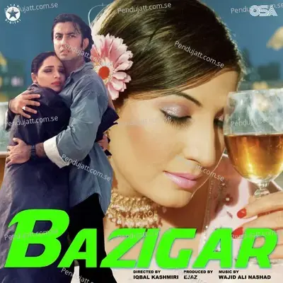 Pal Pal Gin Gin Beete Yeh Din - Shazia Manzoor album cover 