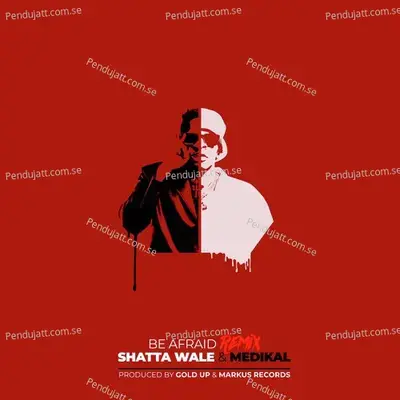 Be Afraid - Shatta Wale album cover 