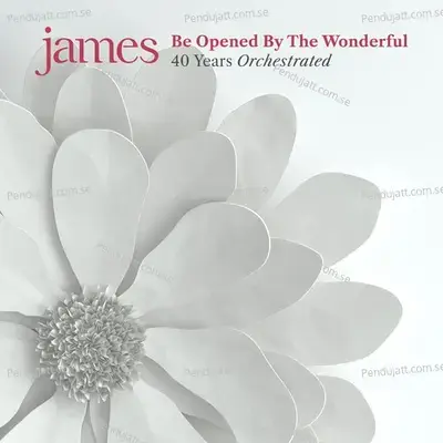 Be Opened By The Wonderful - James cover album