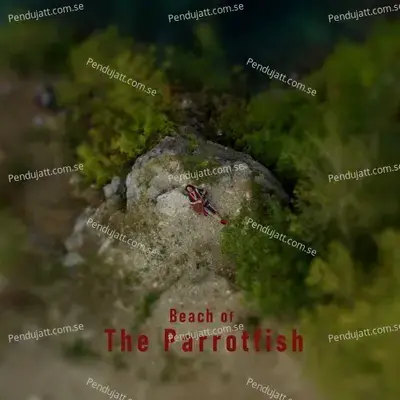 Beach Of The Parrotfish - Neal