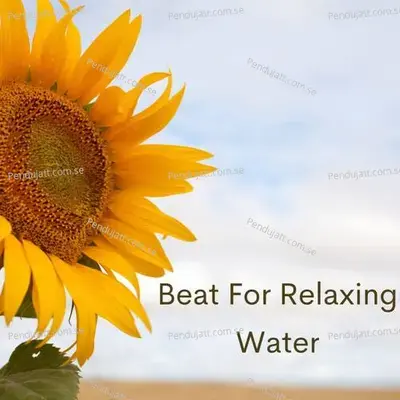 Beat For Relaxing Water - Lakhan Hire album cover 