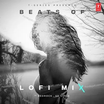 Ae Kaash Lofi Mix  Remix By Kedrock Sd Style - Babbal Rai album cover 