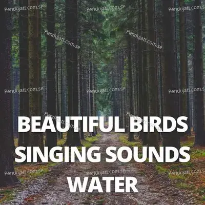 Beautiful Birds Singing Sounds Water - Lakhan Hire album cover 