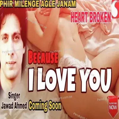 Because I Love You - Jawad Ahmad album cover 