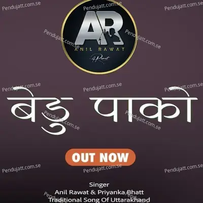 Bedu Pako Baramasa - Anil Rawat album cover 