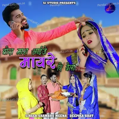 Beera Mara Aaije Mayre Ri Vaila - Shambhu Meena album cover 