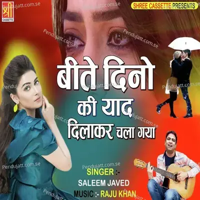 Beete Dino Ki Yaad - Salim Javed album cover 