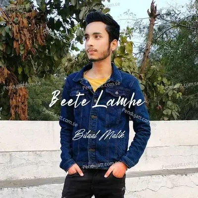 Beete Lamhe - Bilaal Malik album cover 