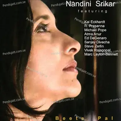 Raaz Ko Raaz - Nandini Srikar album cover 