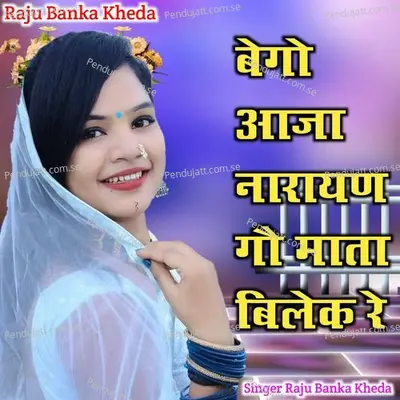 Bega Aaja Narayan Go Mata Bilke Re - Raju Banka Kheda album cover 