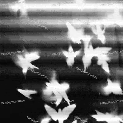 Begun - Baby John album cover 