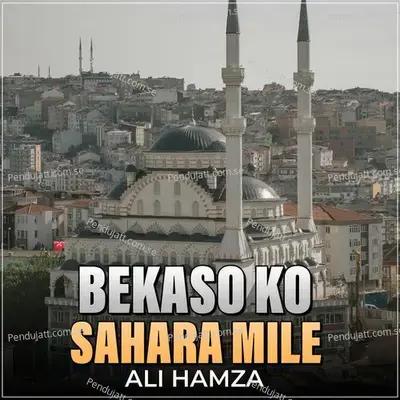Bekaso Ko Sahara Mile - Ali Hamza album cover 