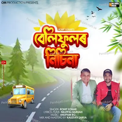 Belifulor Nisina - Rohit Sonar album cover 