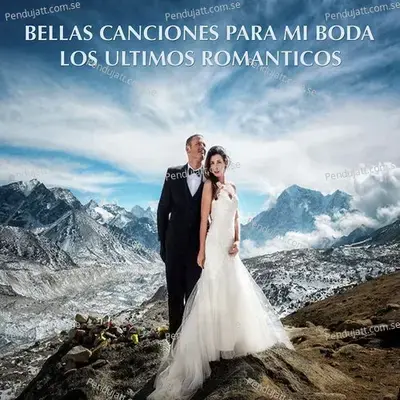 Te Amar - Los Ultimos Romanticos album cover 