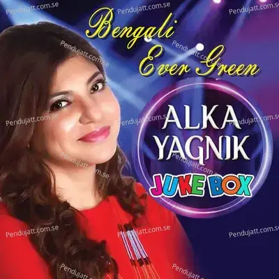 Ulu De Ulu De Tora_ - Alka Yagnik album cover 