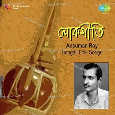 Tahole Shunun Mahashoy - Ansuman Roy album cover 