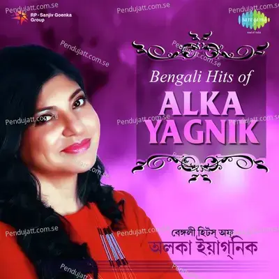 Bengali Hits Of Alka Yagnik - Various Artists cover album
