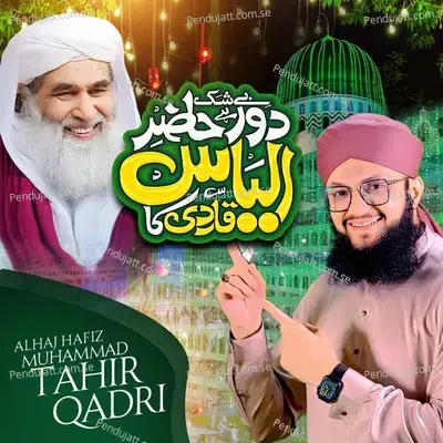 Beshak He Daur E Hazir Ilyas Qadri Ka - Alhaj Hafiz Muhammad Tahir Qadri album cover 