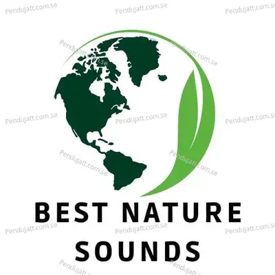 Best Nature Sounds - Lakhan Hire album cover 