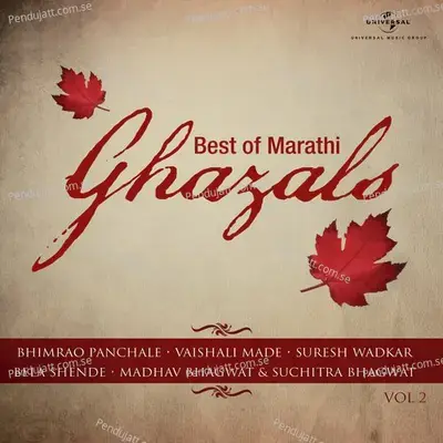 Kathyachi Makhmal - Suresh Wadkar album cover 