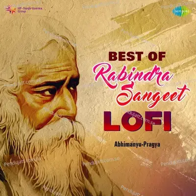 Jagorane Jay Bibhabori - Lofi - Rahul Chaturvedi album cover 