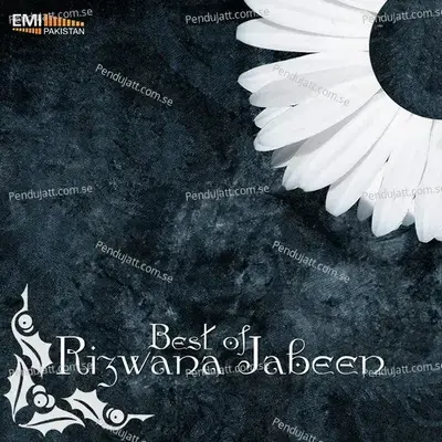 Best Of Rizwana Jabeen - Rizwana Jabeen cover album