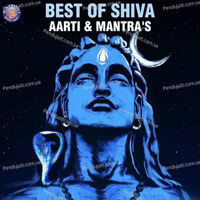 Best Of Shiva Aarti   Mantras - Various Artists