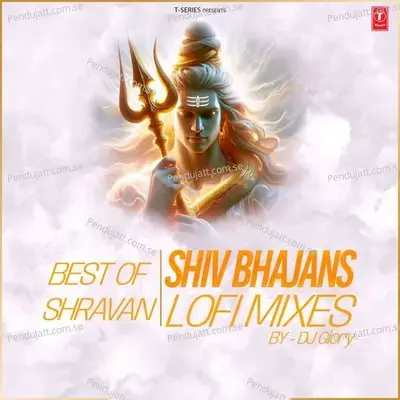 Bhole Ke Mandir Mein Lofi Mix - Sonu Nigam album cover 