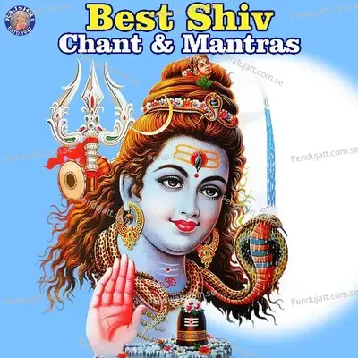 Best Shiv Chant   Mantras - Various Artists