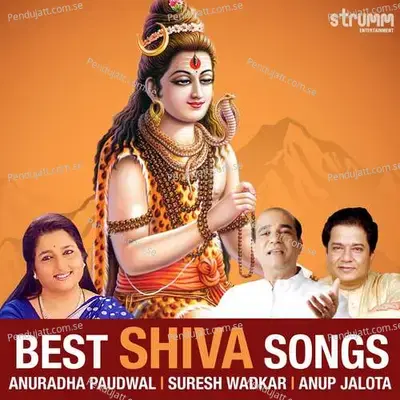 Best Shiva Songs - Anuradha Paudwal cover album
