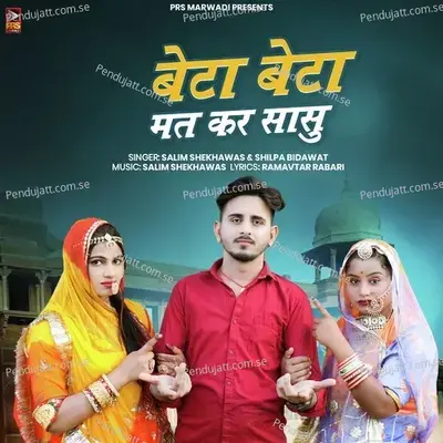 Beta Beta Mat Kar Sasu - Salim Shekhawas album cover 