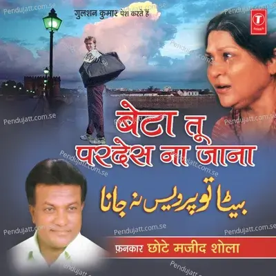 Mohabbat Zindabad - Chhote Majid Shola album cover 