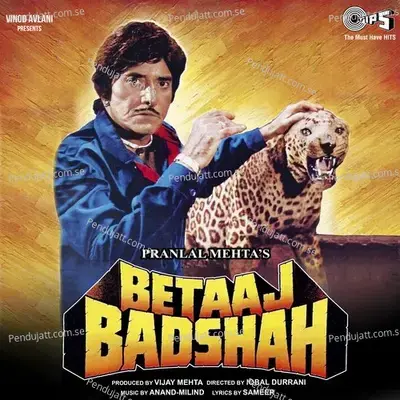 Maine Tujhe Dil Diya - Udit Narayan album cover 