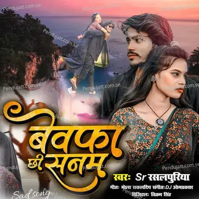 Bewafa Chhi Sanam - S.R Rasalpuriya album cover 