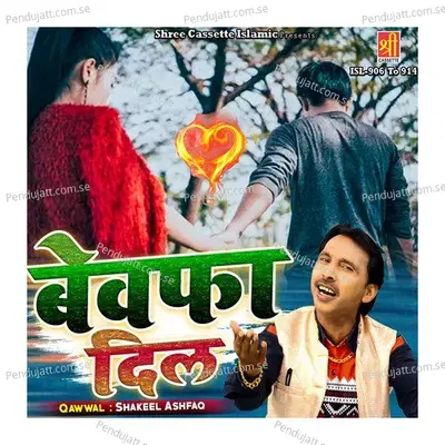 Bewafa Pyar Mein - Shakil Ashfaq album cover 